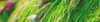 imagem3_1